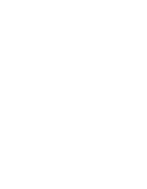 Forty Fox Logo